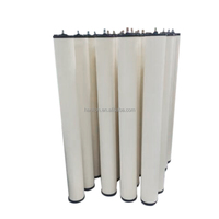 Filtro de Gas Seco Hanlton PSFG-336-M1C-01EB