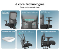 Chaise de bureau ergonomique en maille bleue avec support lombaire pour visiteurs et personnel, dossier mi-haut, du fabricant
