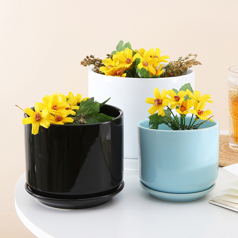 Custom New Indoor Plants Flower Pots
