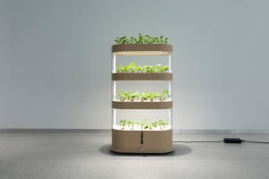 Jardinière agricole système hydroponique vertical tour pour laitue maison culture petite serre pour maison <span class=keywords><strong>jardin</strong></span> - Product Image 5