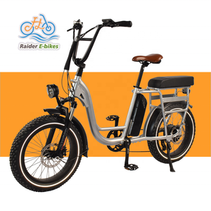 RaiderRunner-34F le <span class=keywords><strong>meilleur</strong></span> vélo Cargo électrique 20 pouces 750W 48V vélo électrique à gros pneus, vélo de ville électrique pour les familles - Product Image 1