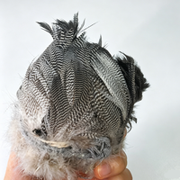 Großhandel Lagerware Wilde Entenfedern Fliegenbindematerialien für Trockenfliegenflügel Handgefertigtes Fliegenköder-Zubehör