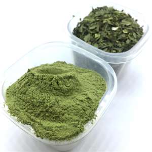 Professionele Fabrikant Van Hoge Kwaliteit Gedehydrateerd Puur Selderijpoeder Puur Natuurlijke Organische 80-100/100-120Mesh - Product Image 3