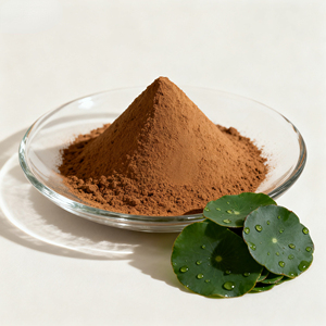 Extrato de Folha de Lótus Grau Alimentício Nuciferina Venda Direta da Fábrica Alta Qualidade - Product Image 1