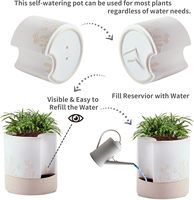 Maceta Moderna de Cerámica con Autorriego para Interiores, 8 Pulgadas, Blanca, Pintada a Mano, con Orificio de Drenaje y Almacenamiento de Agua para Suculentas/Hierbas/Violetas