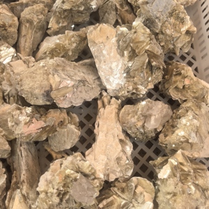 <span class=keywords><strong>Pietra</strong></span> Grezza Naturale di <span class=keywords><strong>Lepidolite</strong></span> Dorata di Alta Qualità, Cristallo Grezzo di Mica Dorata Naturale, Vendita all'Ingrosso - Product Image 3