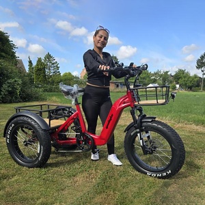 <span class=keywords><strong>Triciclo</strong></span> Elettrico Cargo a 3 Ruote con Pneumatici Fat da 48V 250W - Product Image 1