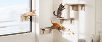 Hamac de fenêtre de chat en bois robuste conception d'impression animale perchoir durable pour animaux de compagnie avec ventouses pour la sécurité