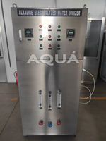 PH 8.8 meilleure eau potable ioniseur d'eau alcaline/traitement de l'eau RO pour la consommation humaine