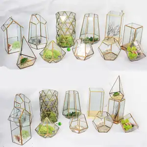 Wholesale handmade irregular Glass gold geometric Terrarium for tabletop succulent plant planter