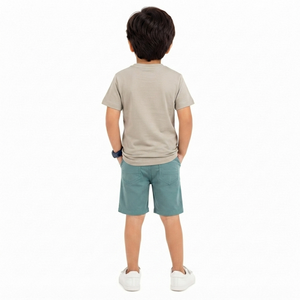 Conjunto de Verano para Niños, Camiseta con Estampado Gráfico y Pantalones Cortos con Cintura Elástica, 95% Algodón, Jersey Sencillo, Informal, Dos Piezas, OEM, ODM - Product Image 5