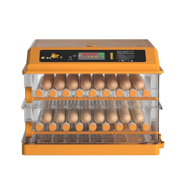 Solar Powered Incubator AC 110v/220v DC12v with Higher Hatching Rate