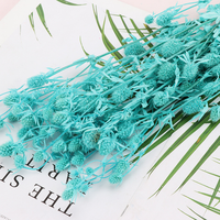 Coffret Cadeau de Fleurs Éternelles pour Amateurs de Fleurs : Petite Boîte de Conservation de Céleri Épineux avec Fleurs pour la Décoration Intérieure et les Occasions de Remise de Diplôme