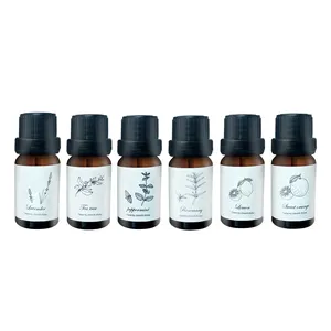 100純粋な水溶性エッセンシャルオイル Suppliers-10ML 6本のスティックの箱には、香りの異なる6種類の水溶性エッセンスエッセンシャルオイルが含まれています