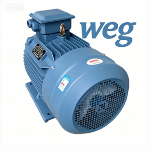 Moteur WEG 100% original 11kw 15kw 22kw 30kw 37kw 45kw 55kw 60kw 75kw 100kw 132kw 160kw 380v Moteur asynchrone triphasé - Product Image 3