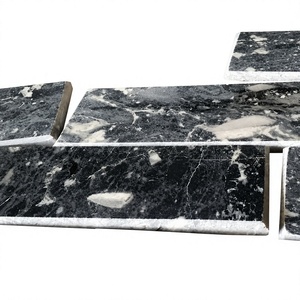 CTS-DOT-TN-38 Baldosa Decorativa de Terrazo Pulido con Patrón de Leopardo (10×20 cm) - Product Image 1