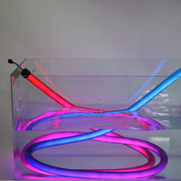 Neon Flex deuxième génération avec diffuseur de 6mm lumineux et durable