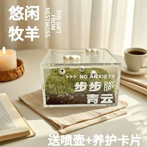 De la terre aux nuages : un paysage miniature en mousse, une pelouse, une plante verte miniature en éco-bouteille, décompression - Product Image 3