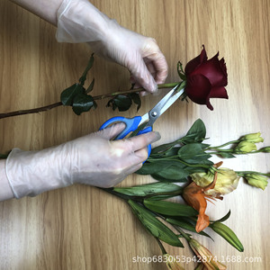 Top Clean Disposable PVC <b>Gloves</b> Smlxl For Kitchen Bathroom Flower Shop Beauty Salon Household Use - Product Image 3