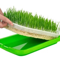 Microgreen Tray Plateaux de semis en plastique pépinière semoir strater cultiver pot de plantes