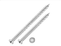 Precision Stainless Steel Thread Cutting Self-Tapping Screws with Cross Drive for Secure Fastening