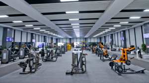 SHUA SH-G8810 Pec Fly/Rear Diltoid Fitnessエクササイズ機器ShuaフィットネスジムShua 88シリーズサプライヤーとメーカー - Product Image 3