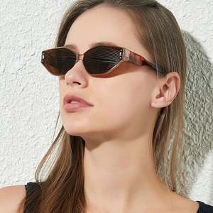 Gafas de Sol Retro de Moda al por Mayor, con Remaches de Doble Color, Estilo Ojo de Gato Pequeño y Forma Poligonal para Mujer - Product Image 1