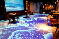 Système de projection au sol interactif intérieur étanche Jeu pour enfants Restaurants Musée École Projecteur au sol interactif