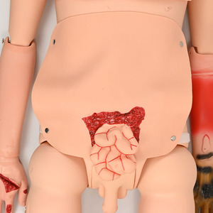Modelo humano avanzado de enfermería, modelo Bisexual básico combinado - Product Image 5