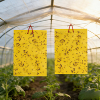 Pièges à colle collante antidérapants jetables en amidon de maïs biodégradable écologique, à forte attractivité, pour le contrôle des nuisibles en ferme et serre sur 60 jours