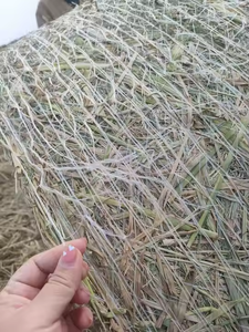 Plastic Polyethylene Plastic <strong>Pallet</strong> Wrapping <strong>Net</strong> 48 <strong>Net</strong> <strong>Wrap</strong> Hay Baler <strong>Net</strong> <strong>Wrap</strong> Bale <strong>Net</strong> <strong>Wrap</strong> 100 - Product Image 6