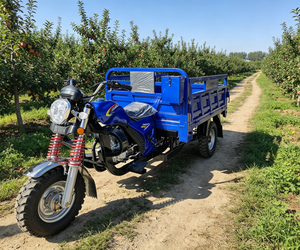 Tricycles et transporteurs de marchandises à essence les plus vendus pour le transport et le transfert de matériaux - Product Image 1