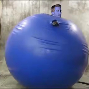 Venta caliente PVC/TPU traje inflable <span class=keywords><strong>de</strong></span> arándano juego <span class=keywords><strong>de</strong></span> rol traje inflable - Product Image 2