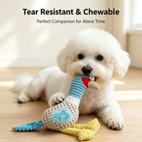 Jouet à mâcher interactif en peluche de coton écologique pour chien et chat, design poulet qui couine, pour le nettoyage des dents, nouveauté de dessin animé