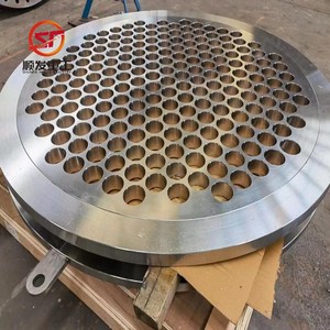 Plaque <span class=keywords><strong>de</strong></span> raccordement <span class=keywords><strong>pour</strong></span> tubes en acier au carbone, acier inoxydable duplex et titane - Product Image 1