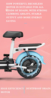 Vélo Électrique Urbain 60V Autonomie >60km Moteur Arrière 500W Cadre en Acier Fourche Suspendue 3 Vitesses Fonctionnalités Électroniques Batterie Plomb-Acide