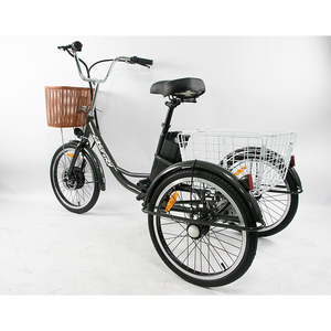ODE OEM <span class=keywords><strong>vélo</strong></span> cargo électrique 48V batterie au lithium 20 pouces cadre en acier support arrière 36V tension frein à disque à vitesse unique fabriqué en Chine - Product Image 3