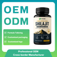 Comprimés de Shilajit de l'Himalaya, complément alimentaire naturel à base d'extrait minéral d'acide fulvique |   Vente en gros, OEM, ODM, marque privée et emballage personnalisé