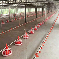 Système d'alimentation et d'abreuvement automatique pour poulets de chair en élevage au sol et reproducteurs de volailles
