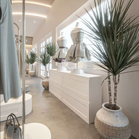 Meuble de présentation pour magasin de chaussures, vitrine sur mesure pour sacs de luxe pour femmes, présentoir de magasin, armoire de décoration et de rénovation pour magasin