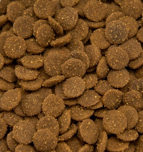 Multivitamine 800g 100% Natuurlijk Hoog-Eiwitrijk Droog Kattenvoer - Voedingsdieet met veel vezels voor de spijsvertering & groei van kleine rassen - Product Image 4