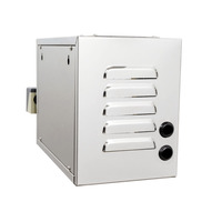 Machine à vapeur portable moderne en acier inoxydable 4,5 kW avec panneau de commande informatique pour usage domestique