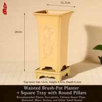 Pot de fleurs carré en résine 15,7 cm, plusieurs trous de drainage, écologique, style chinois simple, pour utilisation sur bureau ou dans un jardin, idéal pour orchidées et bonsaïs