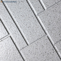 Matériaux de façade décoratifs à haute résistance et faciles à installer, panneaux en fibrociment pré-enduits à texture de maçonnerie