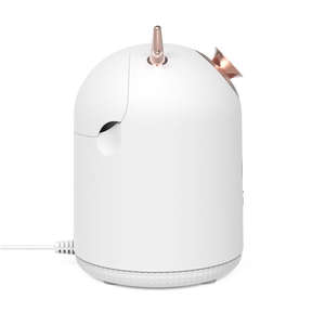 Vapeur facial rose chaud et froid <span class=keywords><strong>professionnel</strong></span> d'OEM/ODM <span class=keywords><strong>Vapozone</strong></span> avec la haute fréquence - Product Image 4