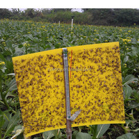 Piège à mouches des fruits double face pour serre jaune piège à insectes pour jardin agricole 20*25cm 20*30cm