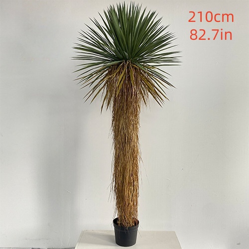 210cm/82.7in