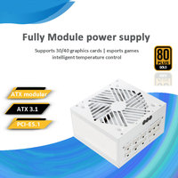 Fuente de Alimentación para PC de 1000W 80 PLUS Gold PCI-E 5.0, Completamente Modular, para Juegos, Compatible con Tarjetas Gráficas de las Series 30/40