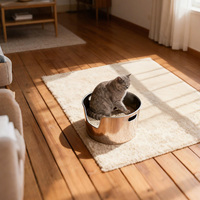 Nouvelle conception, litière pour chat de haute qualité, ronde, en acier inoxydable, résistante à la chaleur, anti-poussière, grande capacité de 20 L, facile à nettoyer, pour plusieurs chats