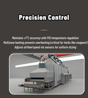 Hoge Kwaliteit Automatische Multifunctionele Groente Fruit Zeevruchten Drogen Machine Mesh Band Tandwiel Plc Technologie Concurrerende Prijs